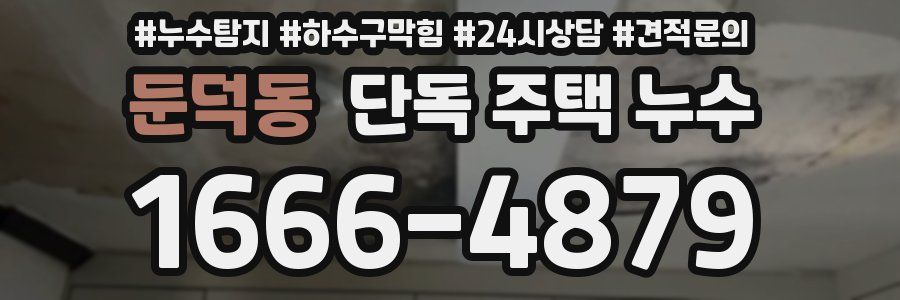 둔덕동 단독 주택 누수