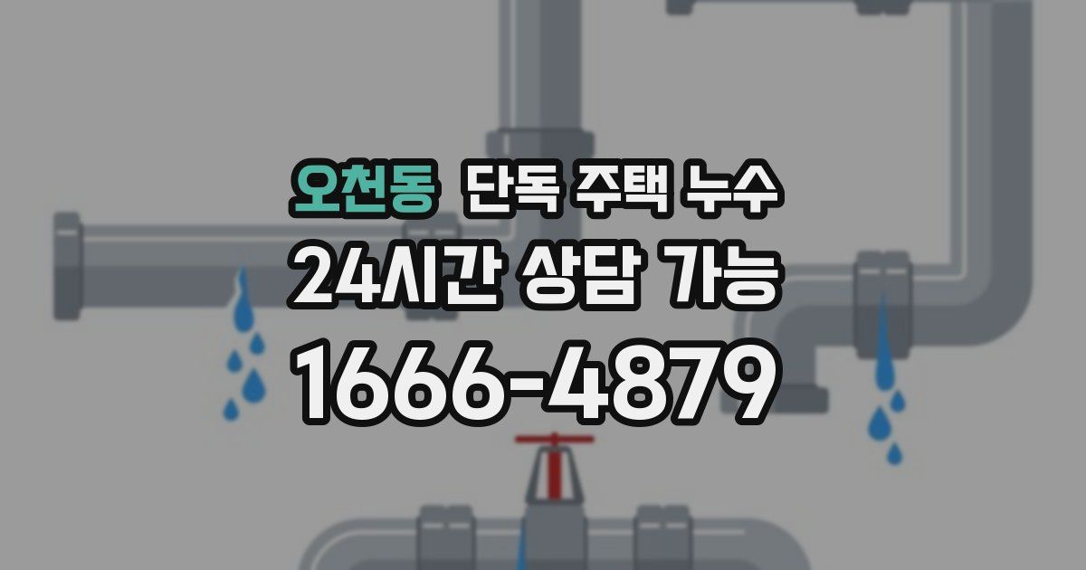 오천동 단독 주택 누수