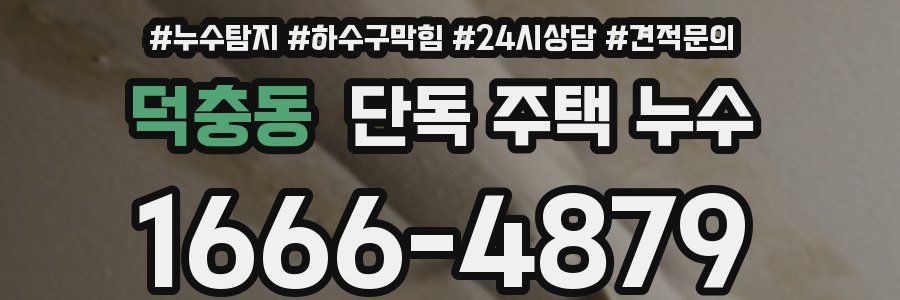 덕충동 단독 주택 누수