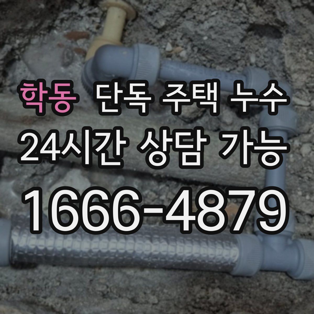 학동 단독 주택 누수 홈통 문제로 실내 벽이 젖는 과정