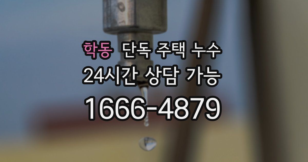 학동 단독 주택 누수