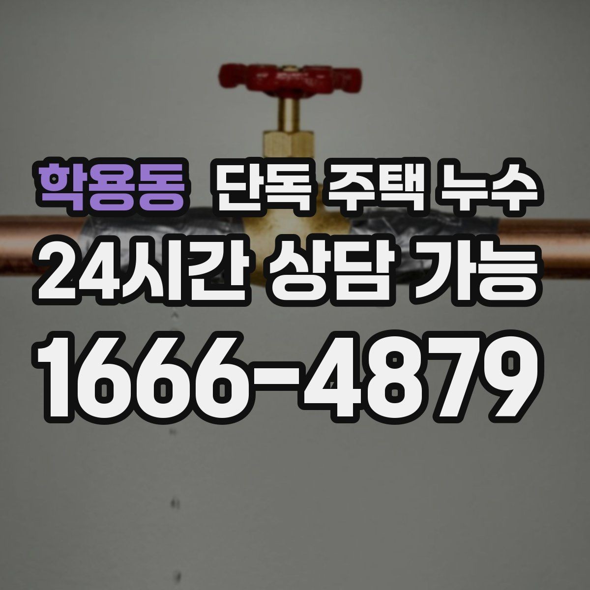 학용동 단독 주택 누수 바닥이 차갑고 눅눅할 때 원인 찾기