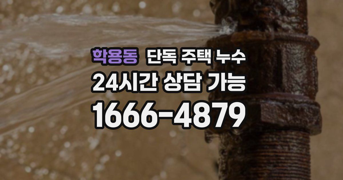 학용동 단독 주택 누수