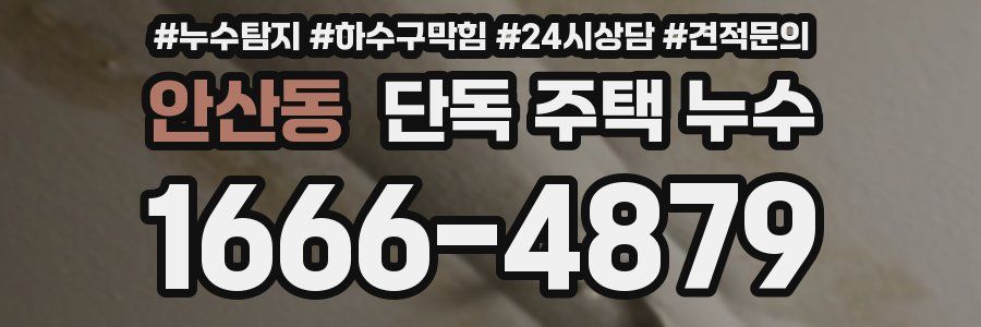 안산동 단독 주택 누수