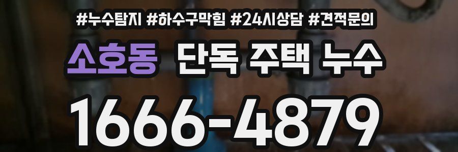 소호동 단독 주택 누수