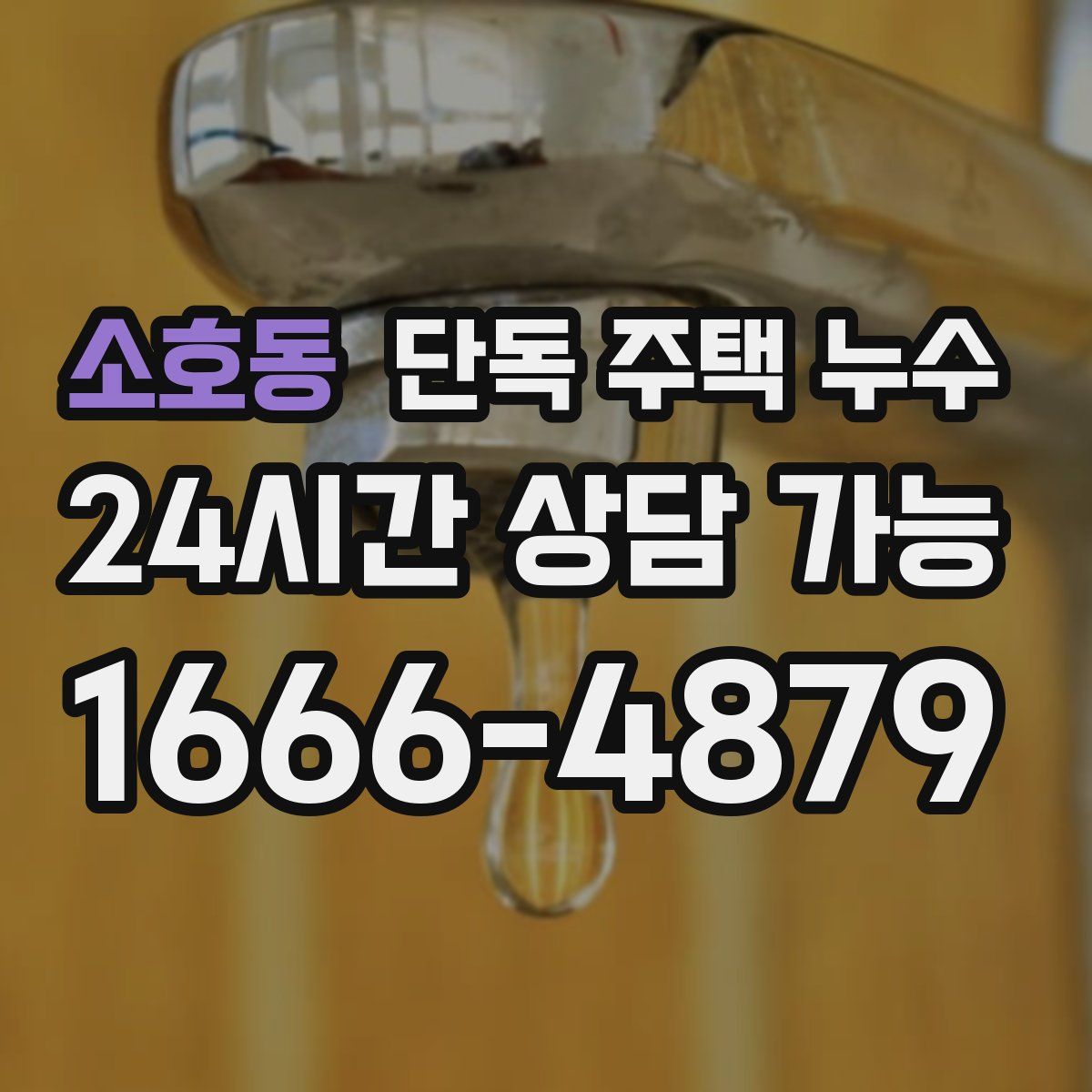 소호동 단독 주택 누수