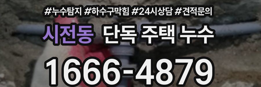 시전동 단독 주택 누수