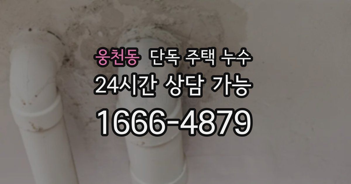 웅천동 단독 주택 누수