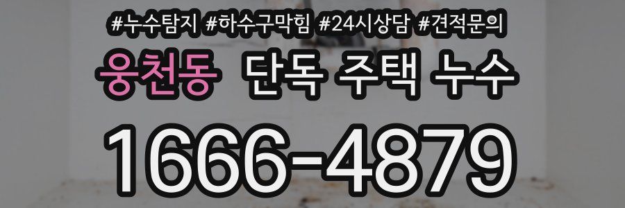 웅천동 단독 주택 누수