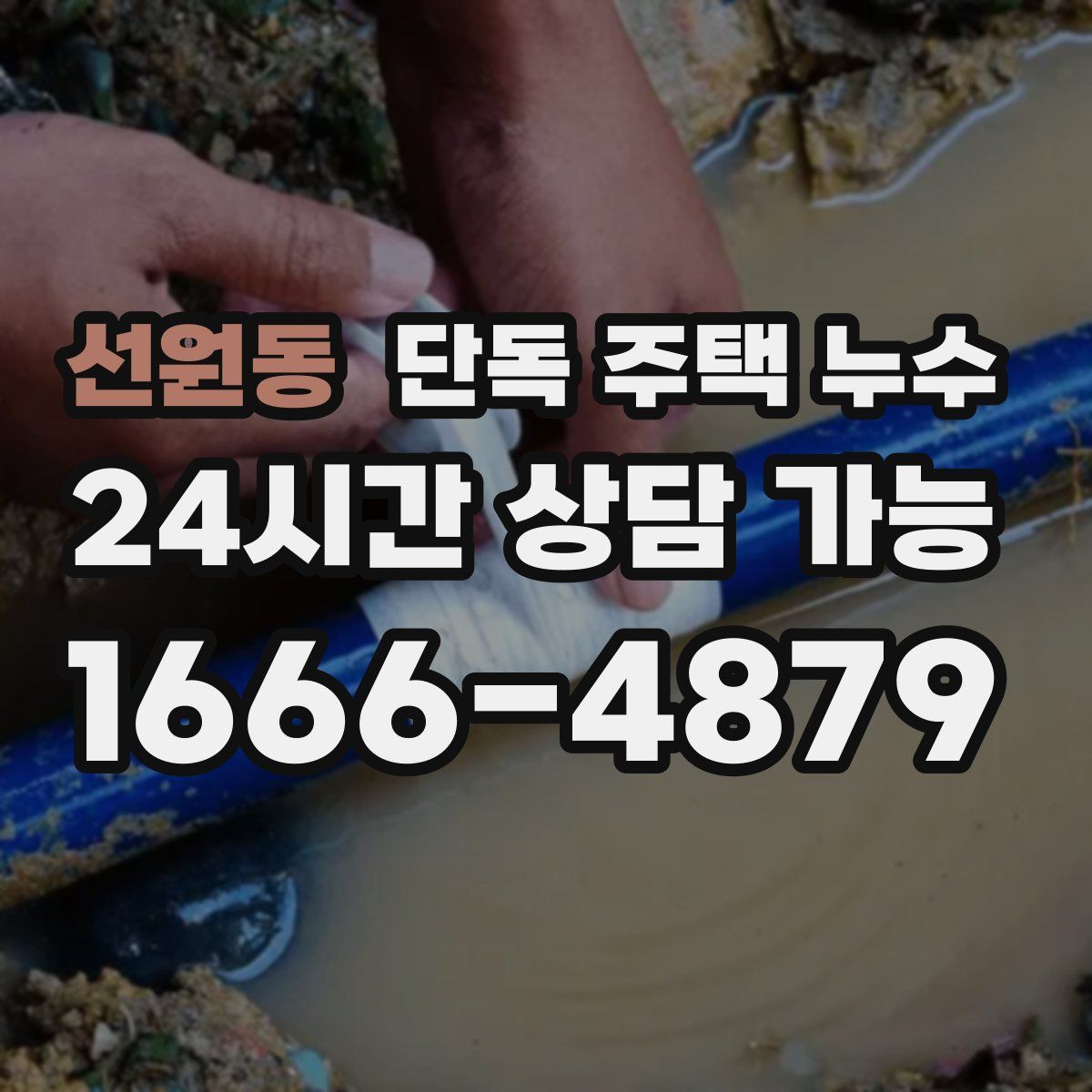 선원동 단독 주택 누수