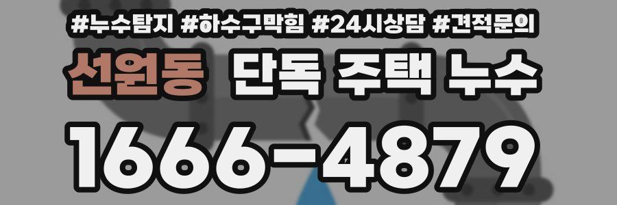 선원동 단독 주택 누수