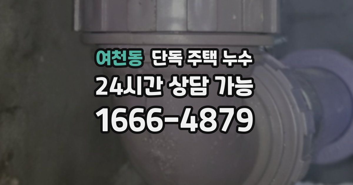 여천동 단독 주택 누수