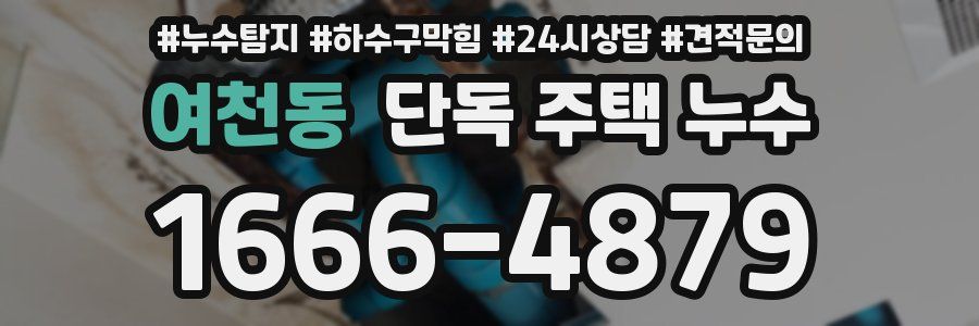 여천동 단독 주택 누수