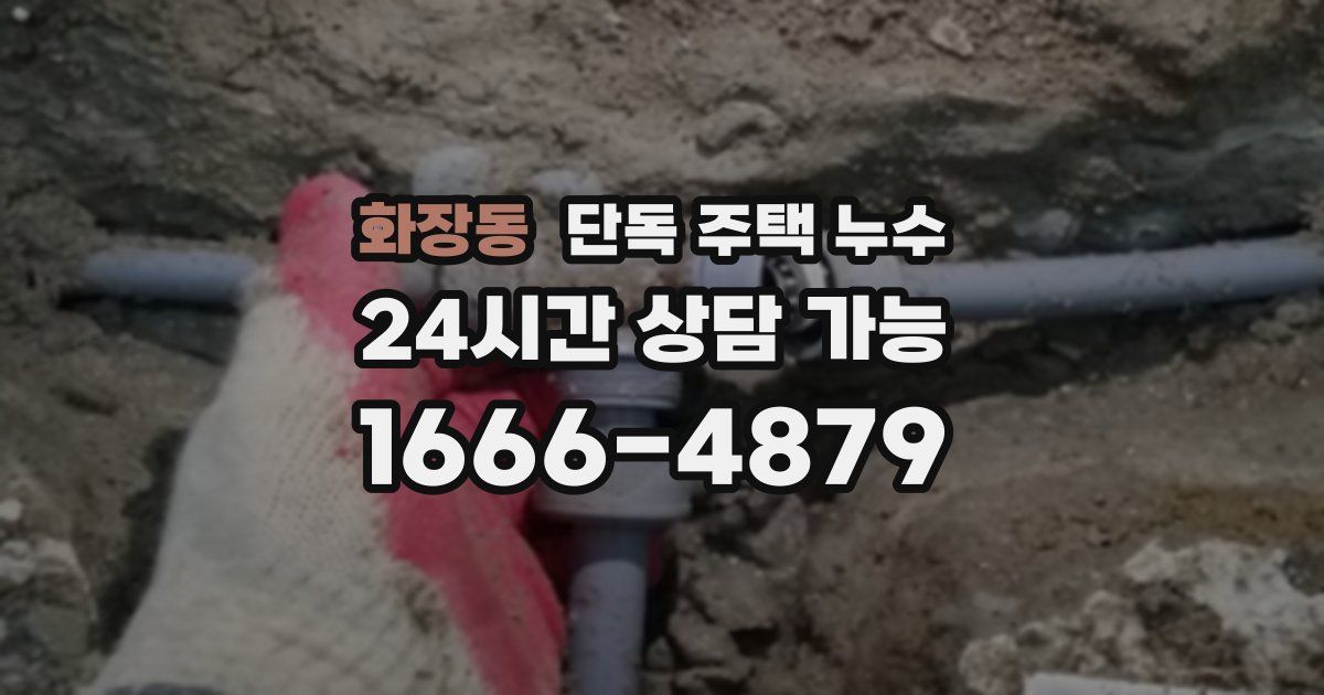 화장동 단독 주택 누수