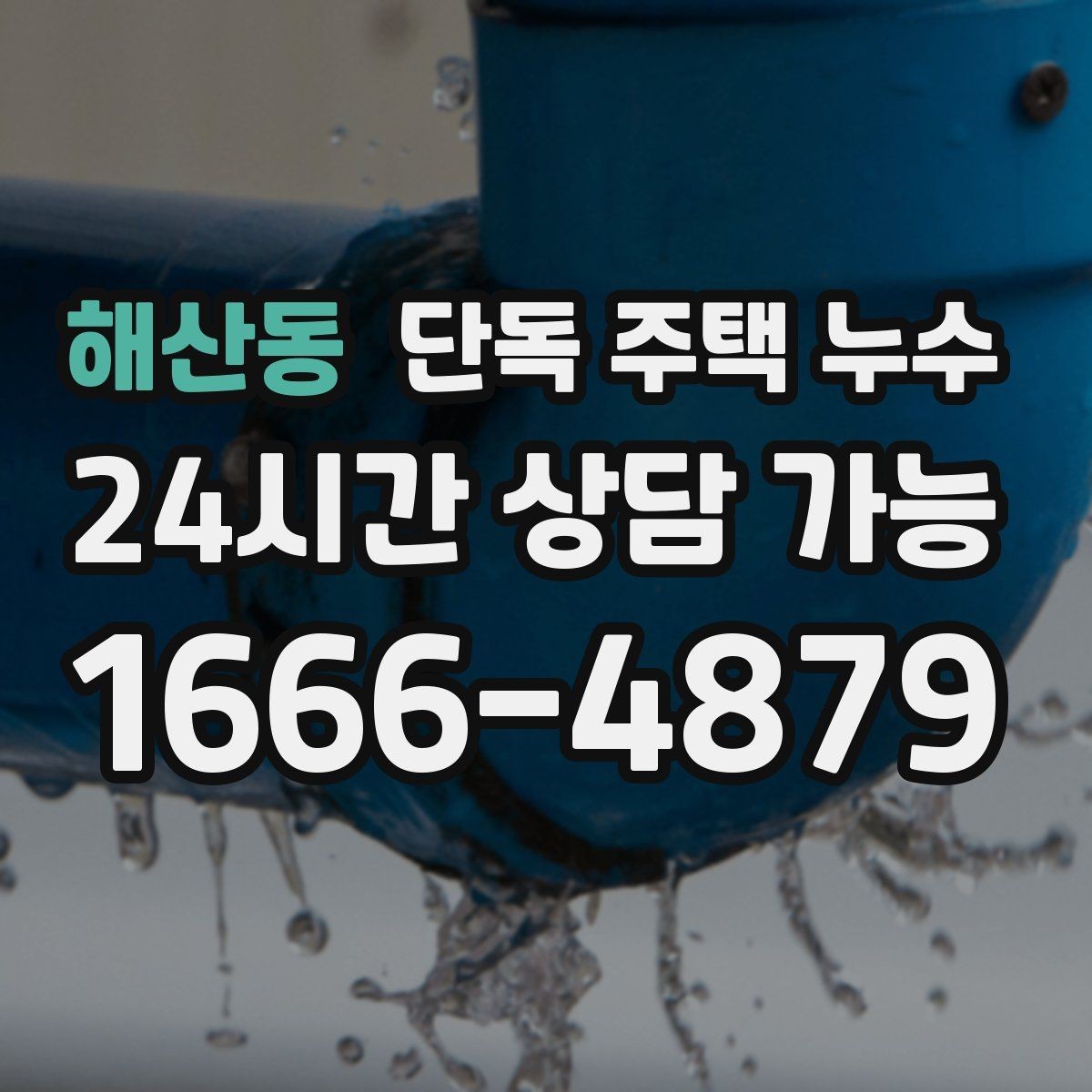 해산동 단독 주택 누수 욕실 배수구 주변이 계속 젖을 때