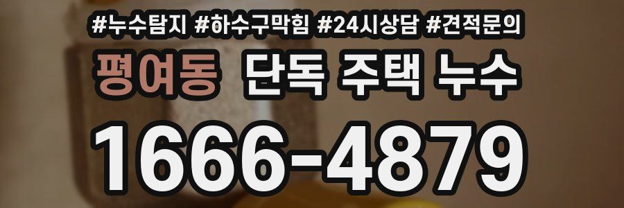 평여동 단독 주택 누수