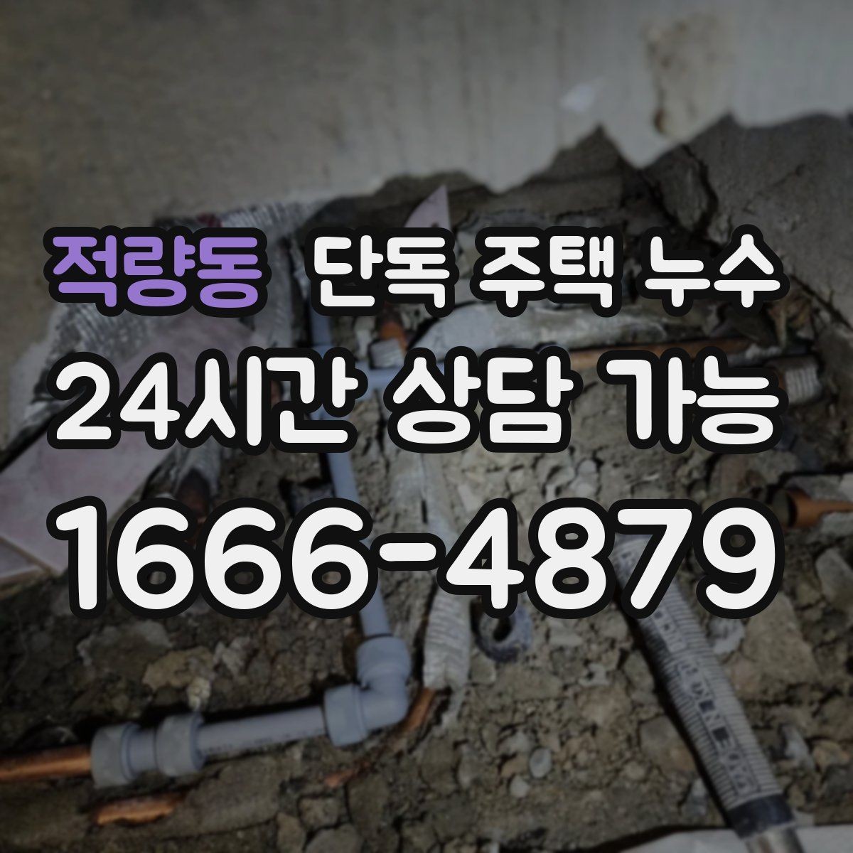 적량동 단독 주택 누수 원인 파악을 위한 증상 기록 방법