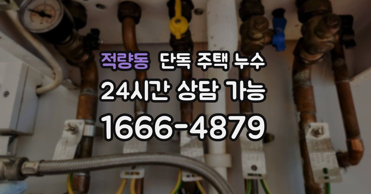 적량동 단독 주택 누수