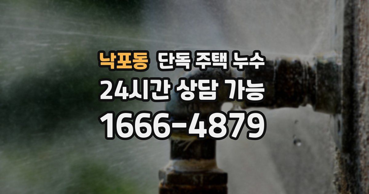 낙포동 단독 주택 누수