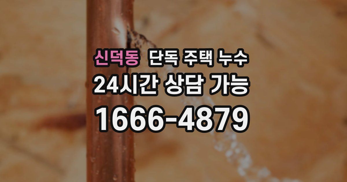 신덕동 단독 주택 누수
