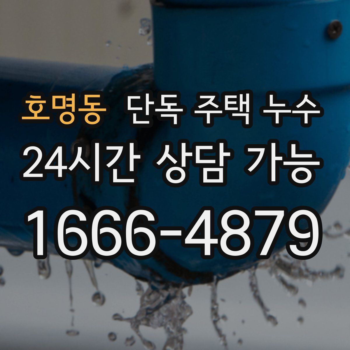 호명동 단독 주택 누수