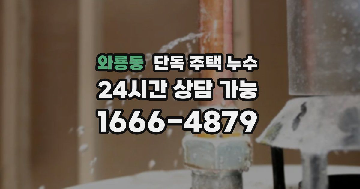 와룡동 단독 주택 누수