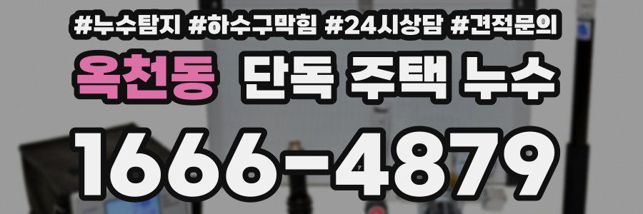 옥천동 단독 주택 누수