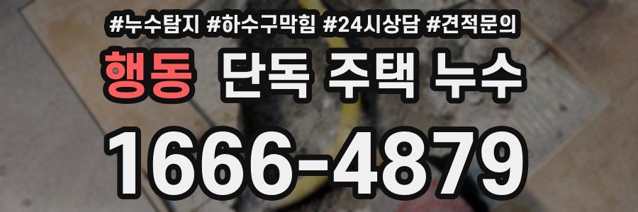 행동 단독 주택 누수