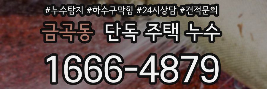 금곡동 단독 주택 누수