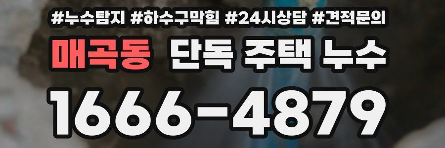 매곡동 단독 주택 누수