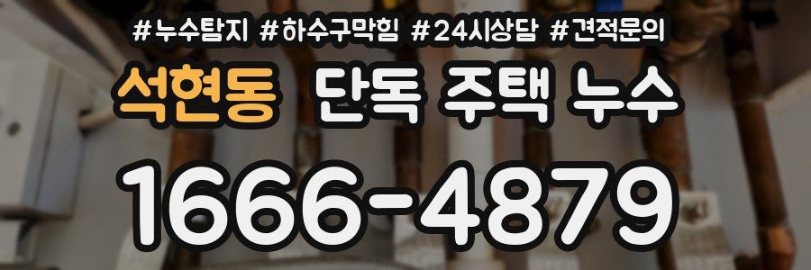 석현동 단독 주택 누수