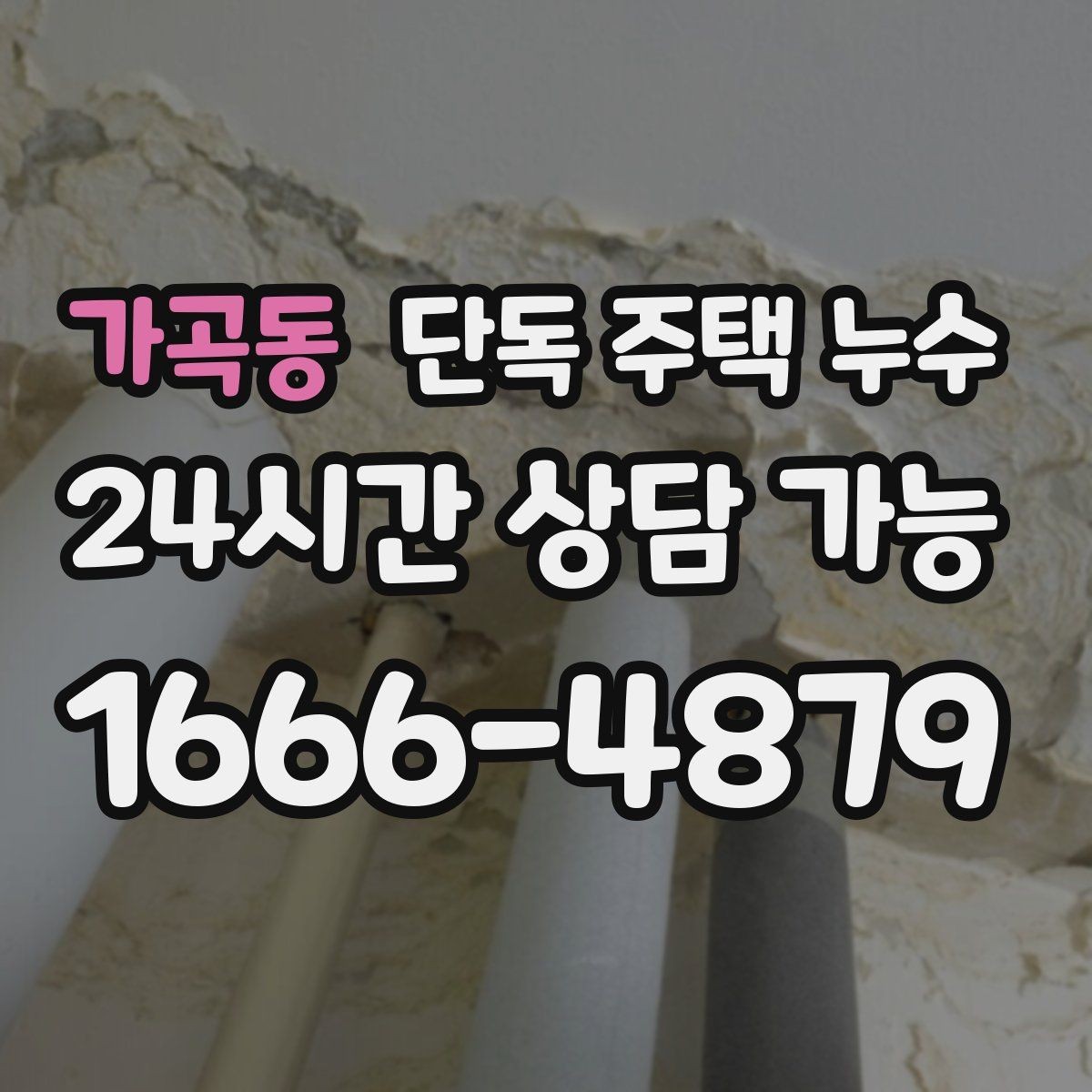 가곡동 단독 주택 누수 지붕 판넬·기와 틈새 점검 포인트