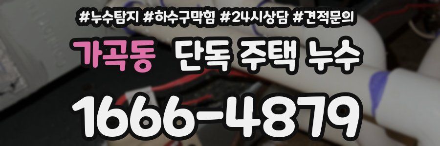 가곡동 단독 주택 누수