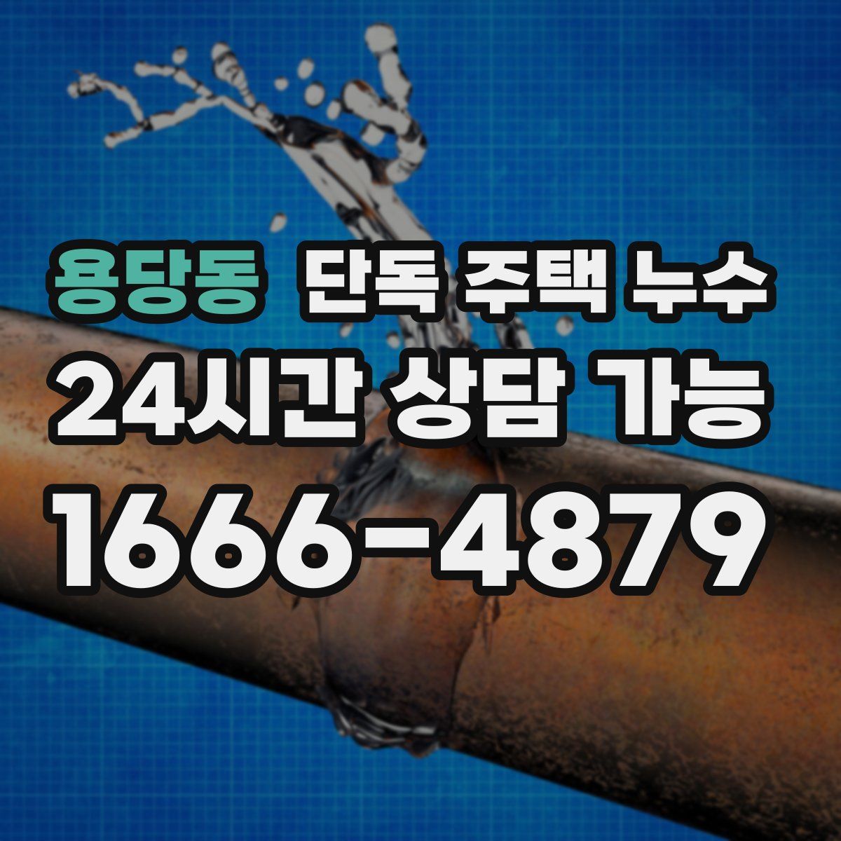 용당동 단독 주택 누수