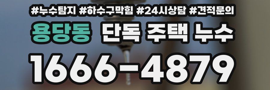 용당동 단독 주택 누수