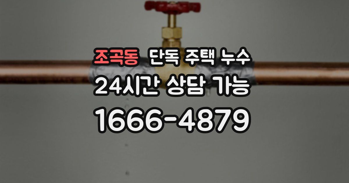 조곡동 단독 주택 누수