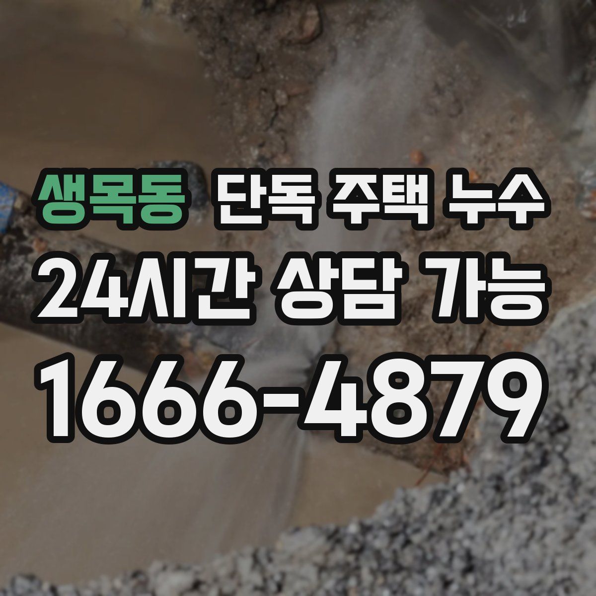 생목동 단독 주택 누수