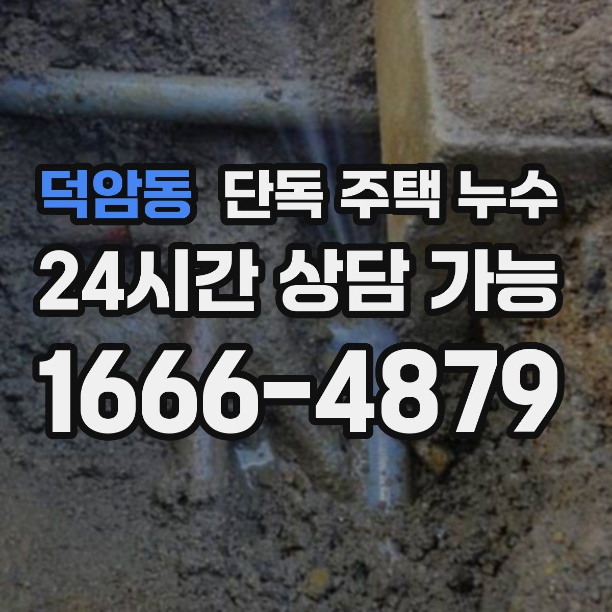 덕암동 단독 주택 누수 도배 새로 했는데 다시 얼룩이 생기는 이유