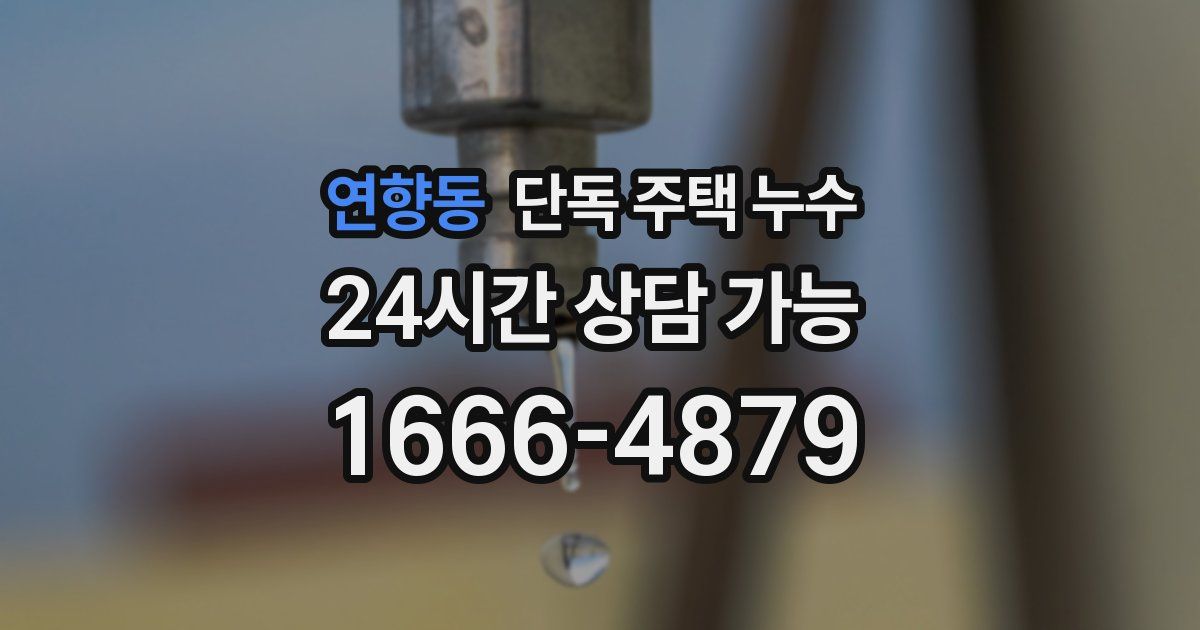 연향동 단독 주택 누수