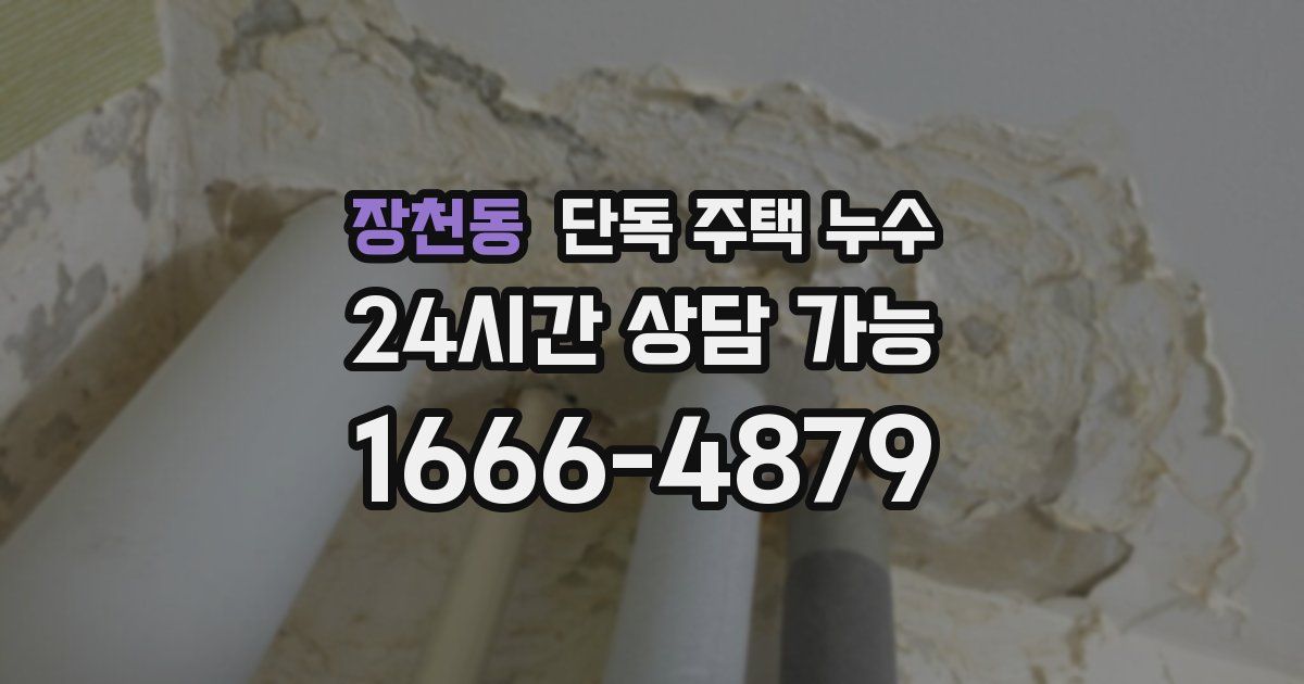 장천동 단독 주택 누수