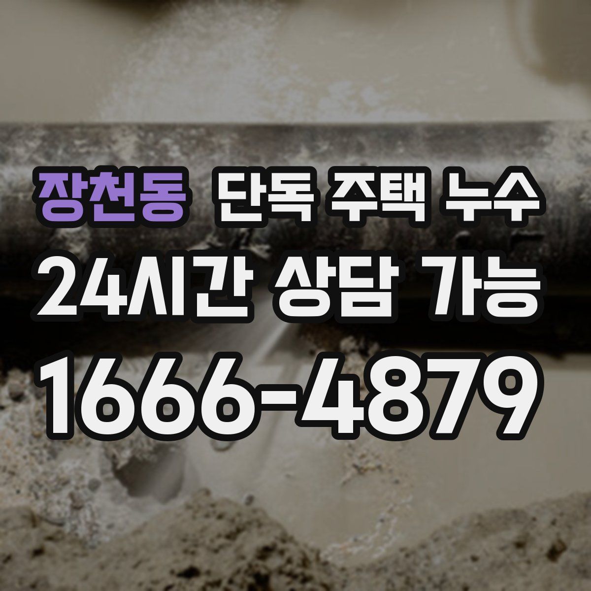 장천동 단독 주택 누수