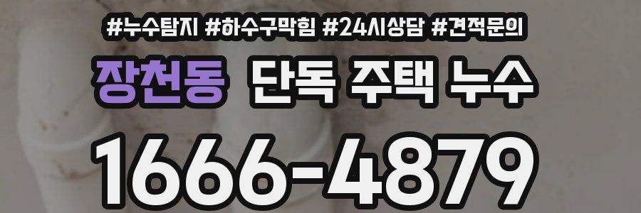 장천동 단독 주택 누수