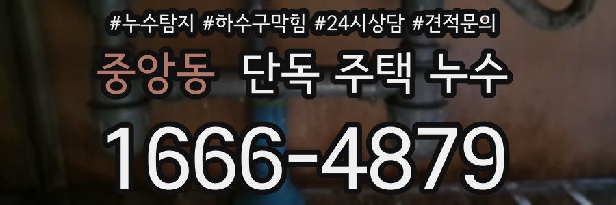 중앙동 단독 주택 누수
