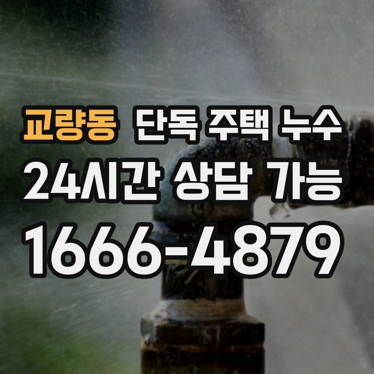 교량동 단독 주택 누수