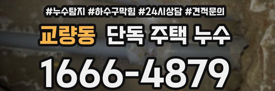 교량동 단독 주택 누수