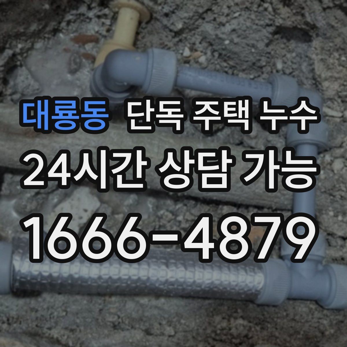 대룡동 단독 주택 누수 밤사이 갑자기 천장이 젖는 경우