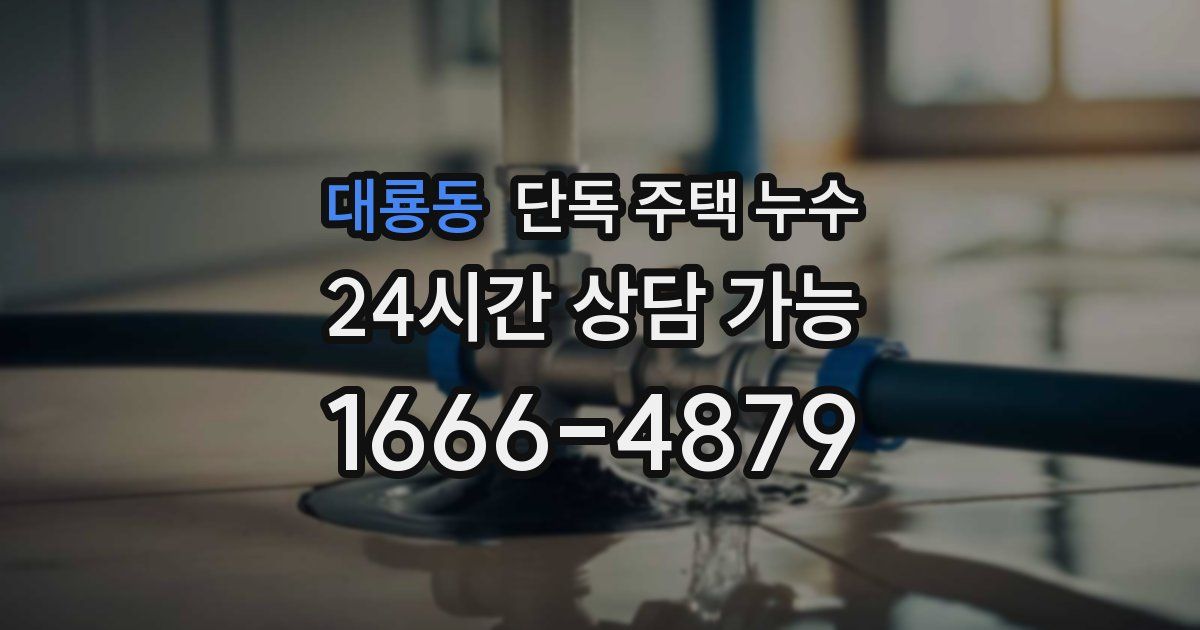 대룡동 단독 주택 누수