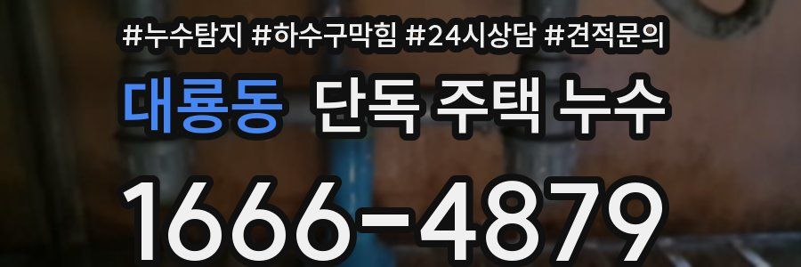 대룡동 단독 주택 누수