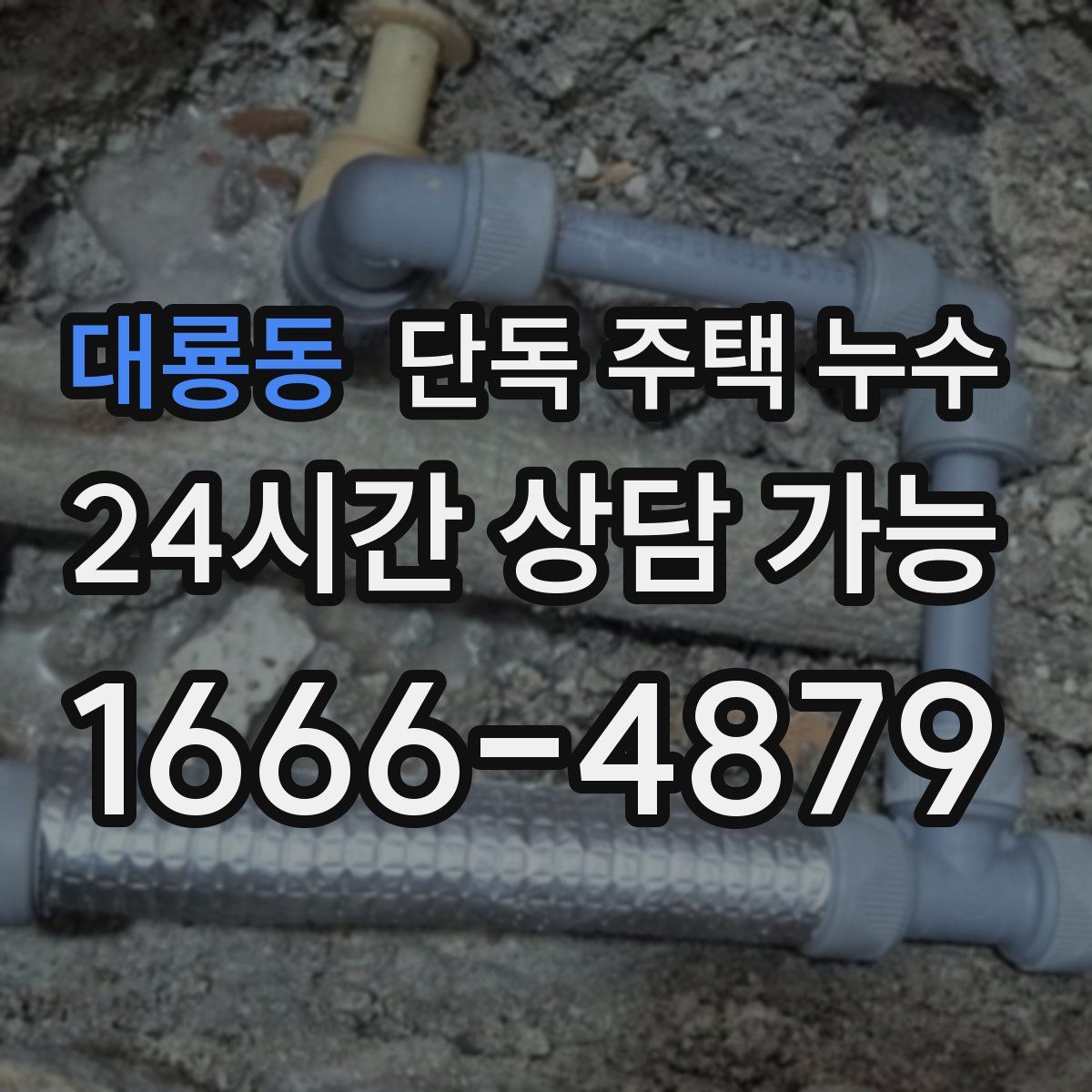 대룡동 단독 주택 누수