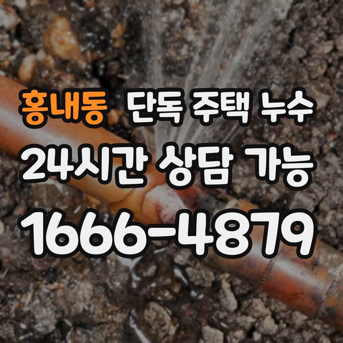 홍내동 단독 주택 누수 방치하면 피해가 커지는 이유